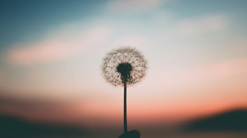 Signs Your Body And Mind Are Out Of Balance