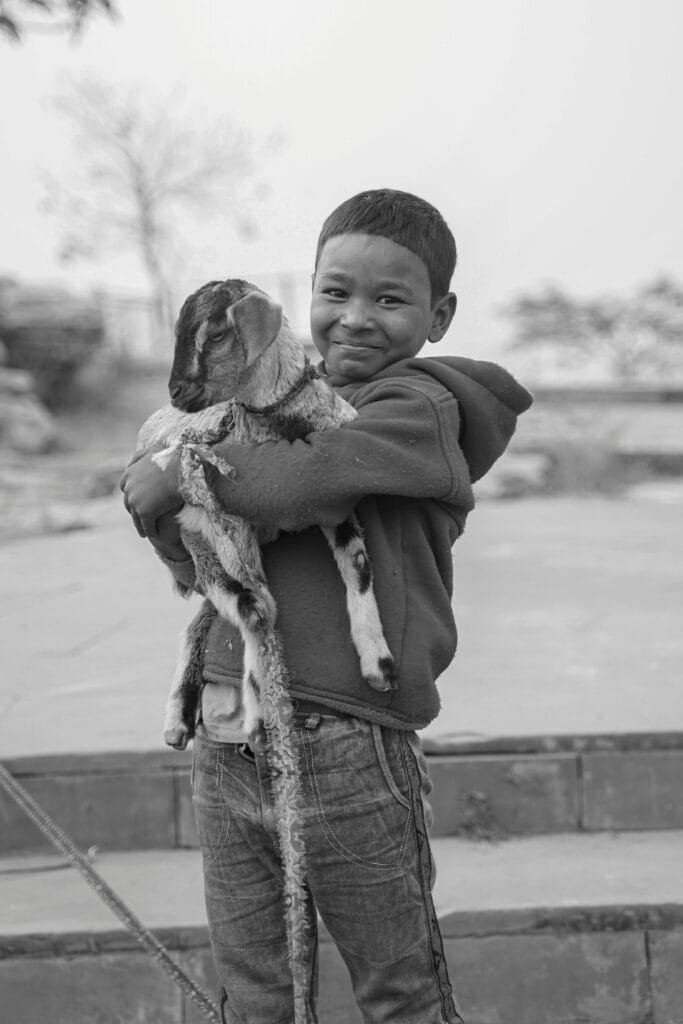 Positive Psychology Toolkit Review Positive Psychology Toolkit Review